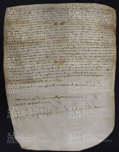 11 B.7.XIr, Donazione fatta da Gosberto e Imelda sua nipote a favore di Varino vescovo, Modena, [1012-1013, dic. 29-30]